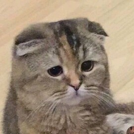 Аватар gribnoy_supchara