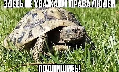 Типо апдейт?