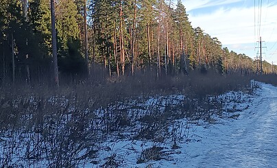 Как трудно участвовать в конкурсах