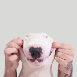 Аватар Морковь судьбы