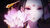 seba_core