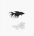 Darya_one