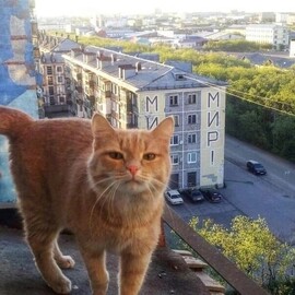 savyastopol