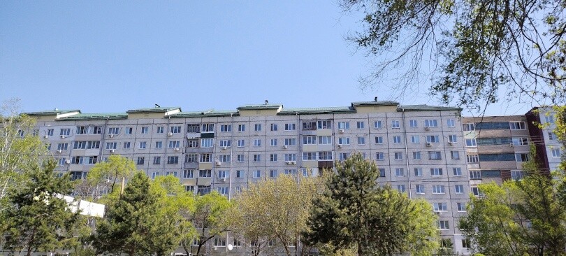 Потоптал траву (Ч2) 29 
