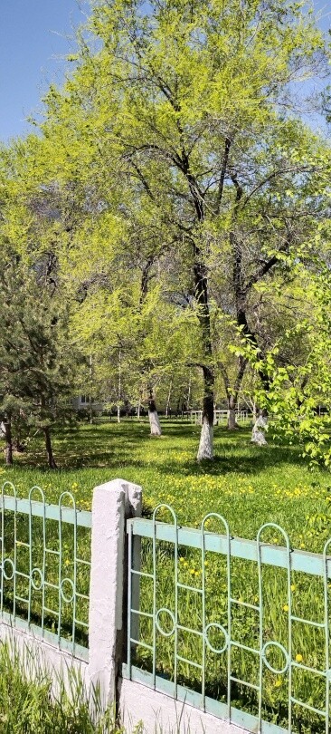 Потоптал траву (Ч2) 32 