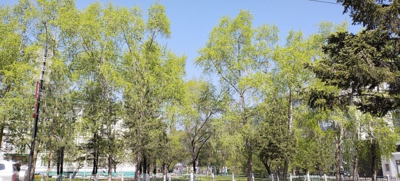 Потоптал траву (Ч2) 33 