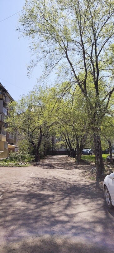Потоптал траву (Ч2) 35 