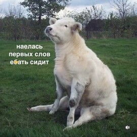 Аватар некорейка