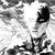 saitamaarts