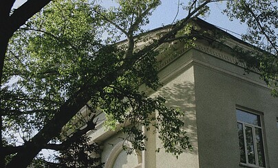 пластмассовые миры