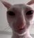 saddumpling