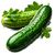 Свежий огурец