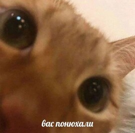 Аватар BATKA