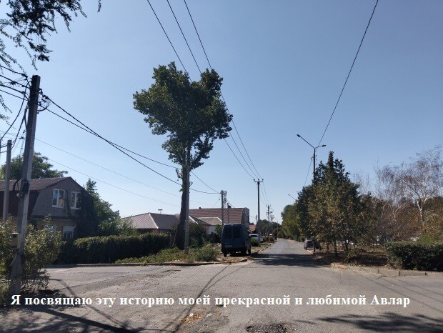 Таймер по веществу 1 