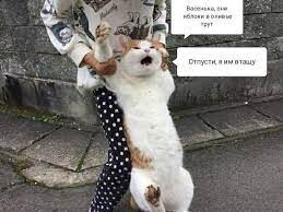 Аватар Оливье