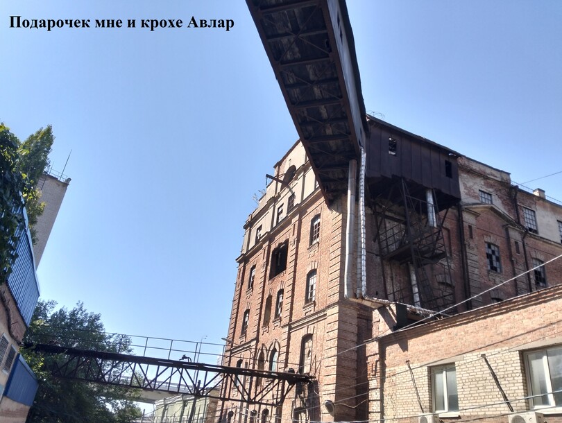 Чудовище во многих лицах 1 