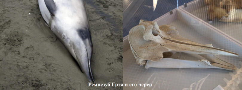 Морская память 1 
