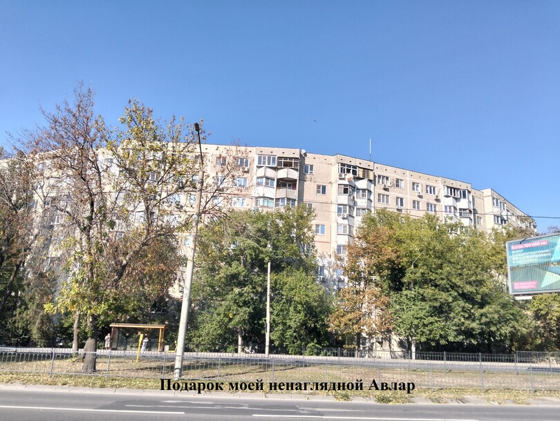 Дом из космоса, как стройматериала 1 