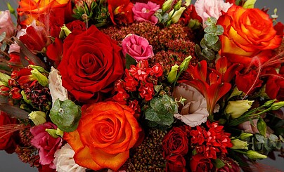 Очень нужна информация!