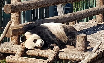 Далянь часть 3