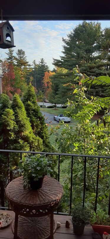 А скоро зима.... 1