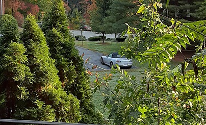 А скоро зима....