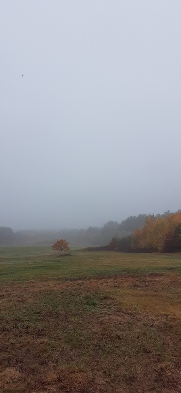 А скоро зима.... 2