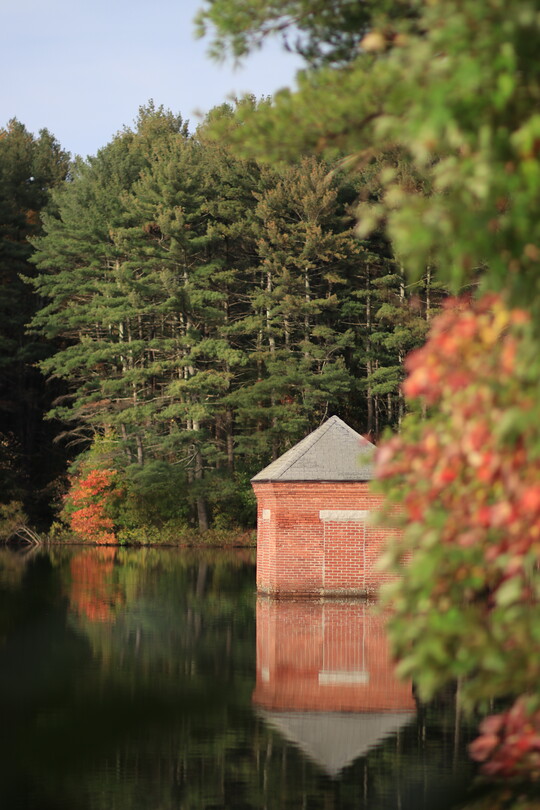 А скоро зима.... 8