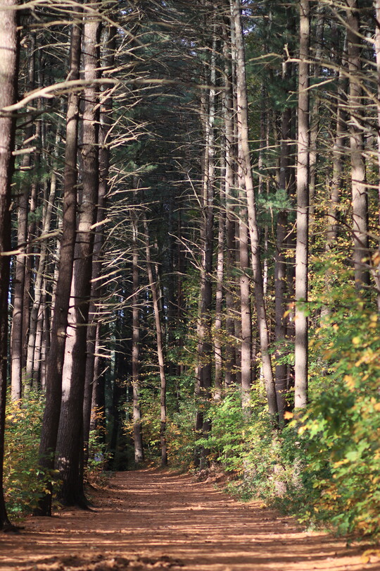 А скоро зима.... 9