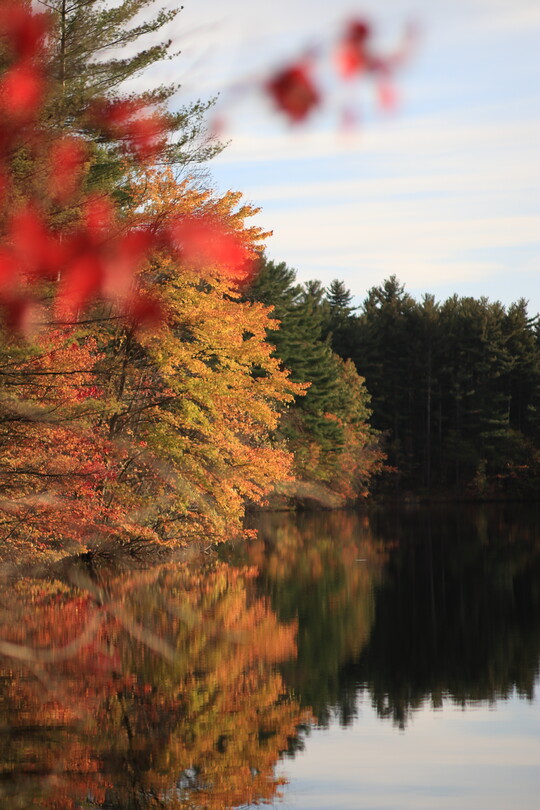 А скоро зима.... 11