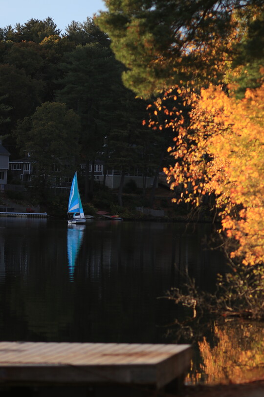 А скоро зима.... 12