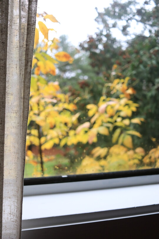 А скоро зима.... 14