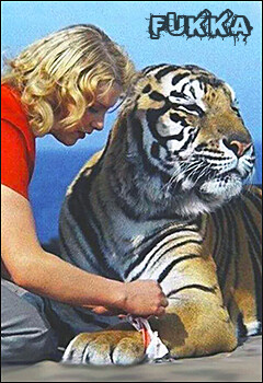 Аватар Errante alma Fukka