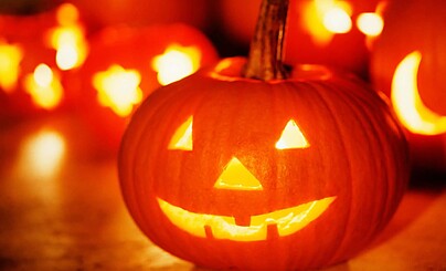 Шакальи посиделки