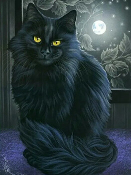 дракко  вольф