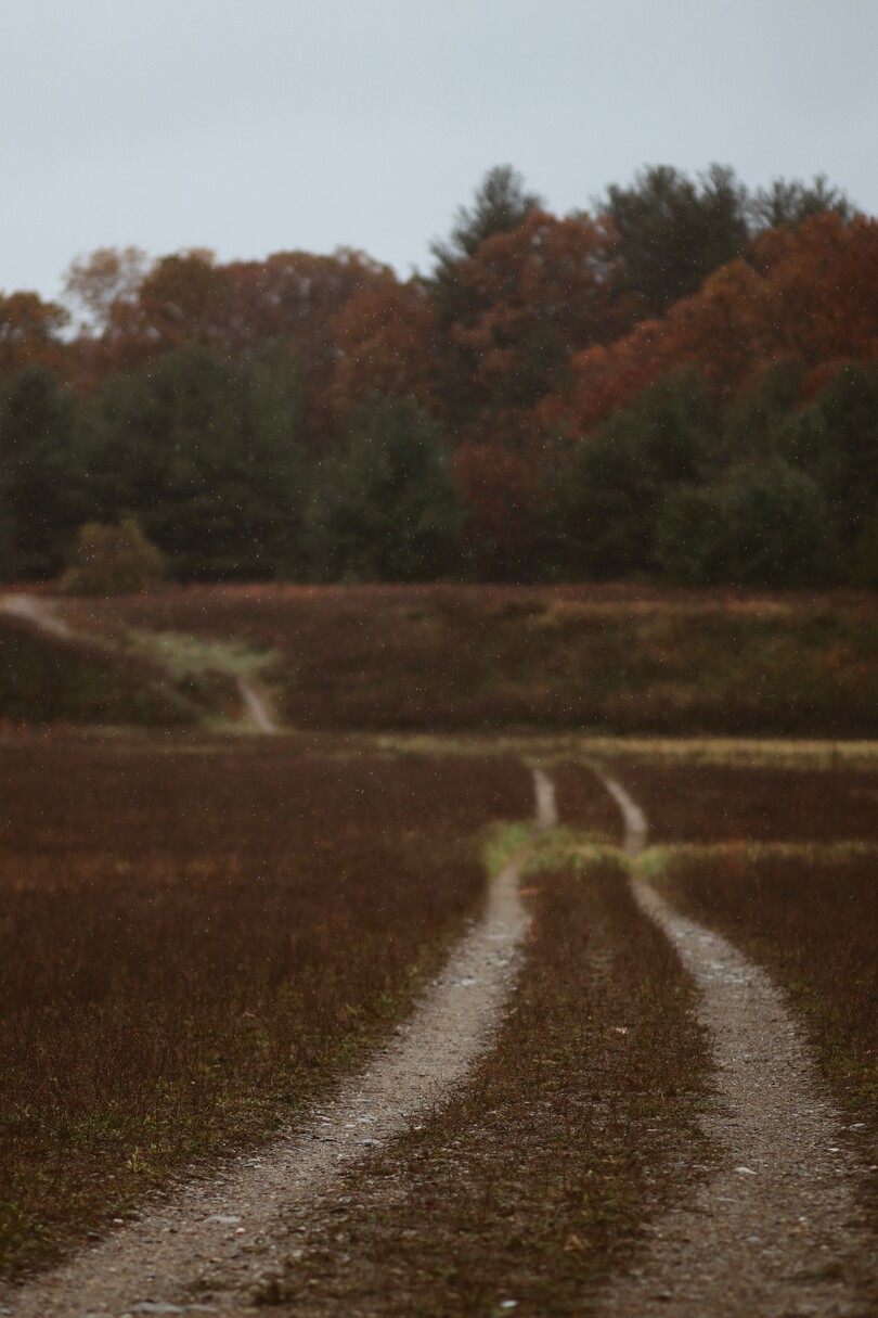А как вы сюда попали? 1