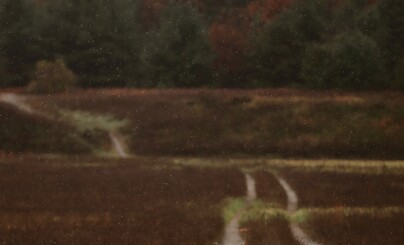 А как вы сюда попали?