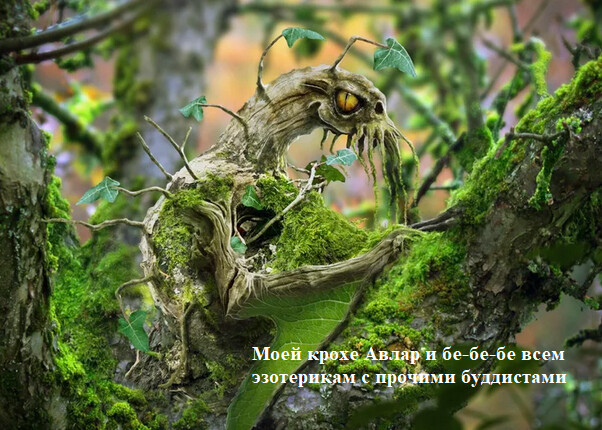 Летающие цветы в тумане среди вечного сна 1