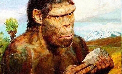 Клининг и тайп это как?