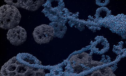 Парень «за всех»