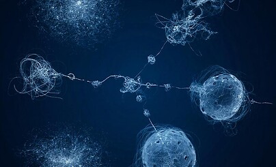 Справедливость свершится любой ценой