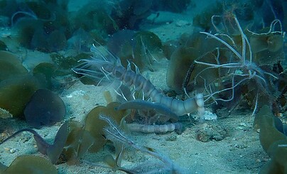 Добру отныне можно всё!