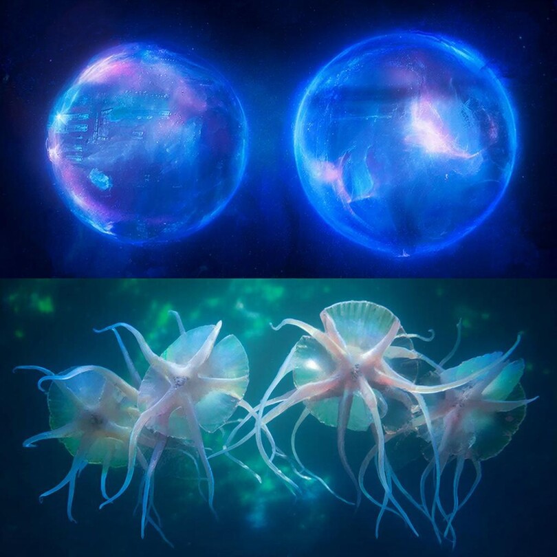 Жизнь до и после появления космоса 1