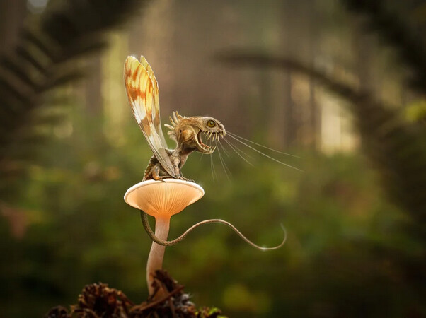 Мир маразма и масок 1