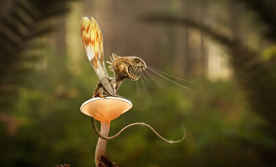 Мир маразма и масок