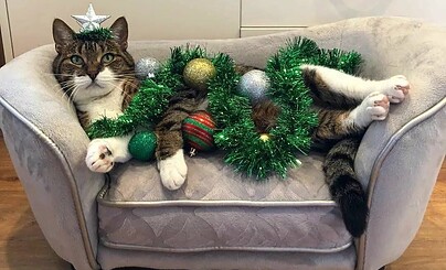 Кто знает сколько профилей на сайте и какое кол-во реальных юзеров...