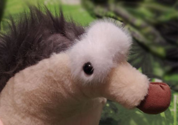 Шакальи рисуночки 23