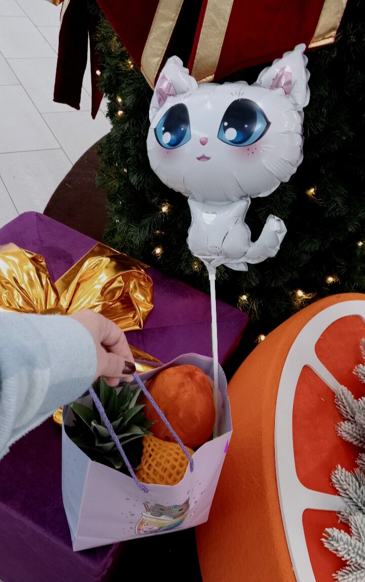 ♡ ᓚᘏᗢ ♡  4 