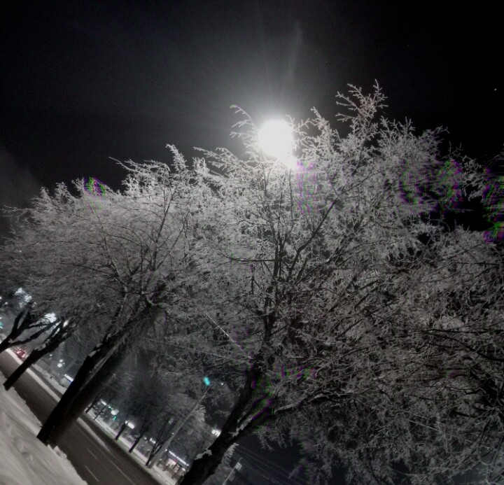 ♡ ᓚᘏᗢ ♡  6 