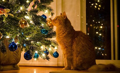 Как и где искать ost из дорам!